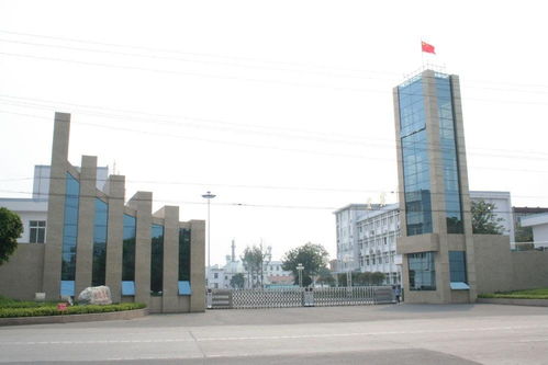 廣東西南建設工程集團 引領區域發展的建筑先鋒